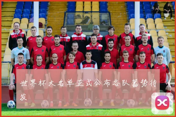 世界杯大名单正式公布各队蓄势待发