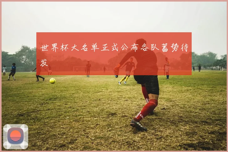 世界杯大名单正式公布各队蓄势待发